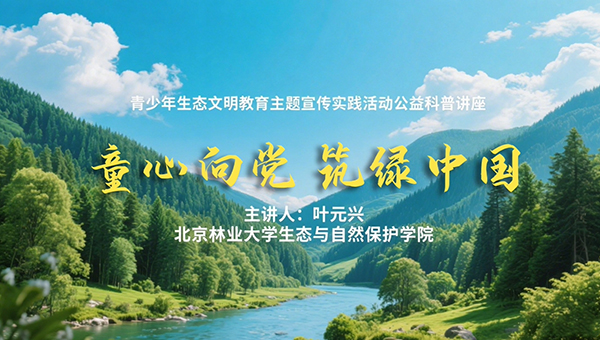 朱鹮：从7只到重生的奇迹